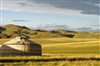 Visite guidée : Exposition "La Mongolie entre deux ères, 1912-1913" et magnifiques jardins du Musée Albert-Kahn | par Elodie Lerner - 