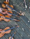 Sur la piste des violons sauvages - 