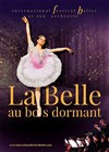 La Belle au Bois Dormant - 