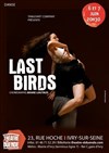 Last birds - 