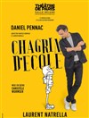 Chagrin d'école - 