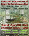 Choeur de chambre Amadeus - Choeur de chambre de la Cité - 