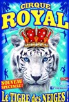 Cirque Royal | - Hyères - 