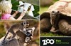 Journée découverte du zooparc de Cheptainville - 