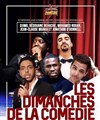 Les Dimanches de la Comédie - 