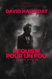 David Hallyday : Requiem pour un fou | Strasbourg Znith de Strasbourg - Znith Europe Affiche