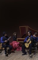Le Trio  Cordes Pinces de Paris : Musique classique et sud-amricaine