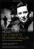 Les Carnets de Harry Haller Thtre de l'Epe de Bois - Cartoucherie