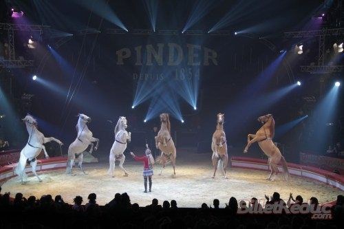 Cirque Pinder Saint Quentin