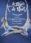 Cirque national d'Ukraine - CEC - Théâtre de Yerres