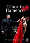 Ténor in flamenco - Château de Fargues