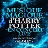 The Magical Music of Harry Potter - Parc Expo Le Chorus