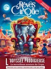 Rêves de Cirque dans L'Odyssée Prodigieuse | Clermont Ferrand - Chapiteau Rêves de Cirque à Clermont Ferrand 