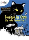 Pourquoi les chats ne nous parlent pas ? - Royale Factory