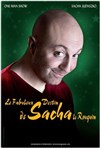 Sacha Judaszko dans Le Fabuleux destin de Sacha le rouquin - Le Petit Beverley