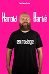 Harold Barbé - Le Bar et Vous 