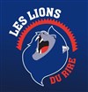 Festival Les lions du rire - Bourse du Travail Lyon