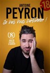 Antoine Peyron dans Je vais vous cartonner ! - Le Pont de Singe