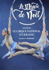 Cirque national d'Ukraine - Théâtre de Longjumeau