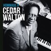 Hommage à Cedar Walton avec Alex Monfort Trio - Sunside