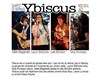 Ybiscus Quartet New Soul Jazz - Rare Gallery