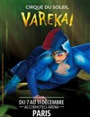 Le Cirque du Soleil dans Varekai - Accor Arena