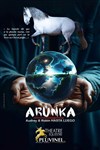 Arunka - Pluvinel Théâtre équestre