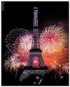 14 Juillet 2017 : Feu d'Artifice au pied de la Tour Eiffel à Paris sur un bateau navigant - Péniche La Sans Souci