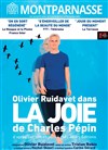 La joie - Théâtre Montparnasse - Grande Salle