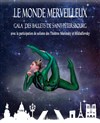 Gala des ballets de Saint-Pétersbourg - Théâtre Molière de Poissy