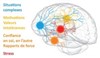 Le cerveau, cet inconnu - L'Entrepôt / Galerie