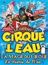 Le Cirque sur l'Eau - Chapiteau Le Grand Cirque de Noël à Marseille