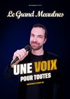 Le Grand Meaulnes dans Une voix pour toutes - Le Lieu