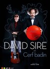 David Sire - Le bijou