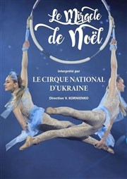 Cirque national d'Ukraine CEC - Thtre de Yerres Affiche