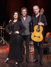 Flamenco Vivo... 3 Generaciones ! Thtre Le Petit Louvre - Chapelle des Templiers Affiche