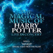 The Magical Music of Harry Potter | Carcassonne Centre des congrs Affiche