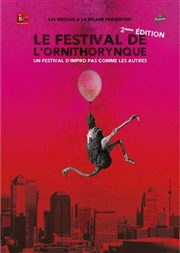 Le Festival de l'Ornithorynque La Ricane Affiche