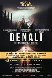 Denali Thtre Marigny - Salle Marigny Affiche