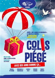 Colis piégé Thtre municipal de Muret Affiche