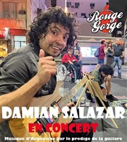 Damian Salazar Rouge Gorge Affiche