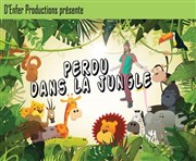 Perdu dans la jungle