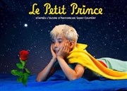 Le Petit Prince, d'aprs l'oeuvre d'Antoine de Saint Exupery