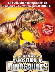 Le Muse Ephmre : exposition de dinosaures  Montpellier