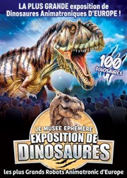 Le Muse phmre : Exposition de dinosaures  Avignon