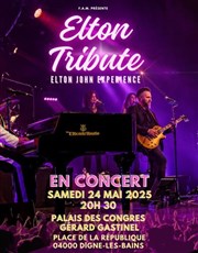 The Elton Tribute Palais des Congrs Affiche