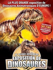 Le Musée Éphémère® : Exposition de dinosaures à Albi parc des Expositions  Albi Affiche