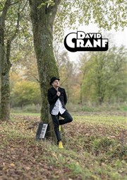 David Cranf en concert Le Pont de Singe Affiche