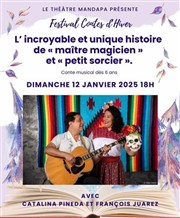 L' incroyable et unique histoire de Matre Magicien et Petit Sorcier