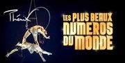 Cirque Phénix : Les Plus Beaux Numéros du Monde Arnes de l'Agora Affiche